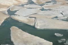 Sandbanks Ice Floating Winter (v)