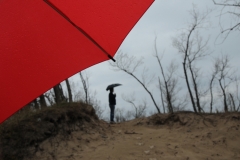 Sandbanks Spring Umbrella #2430
