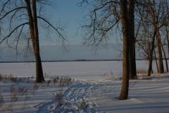 Sandbanks West Lake Winter #1203