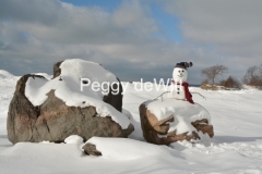 Snowman Pt Petre Rocks #3493