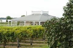 Vineyard Waupoos Winery #2716