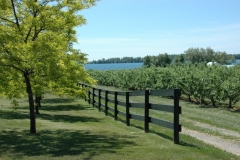 Waupoos Fence #1510