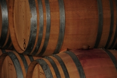 Wine Barrels #2730
