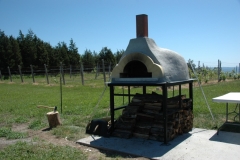 Waupoos Oven #1599