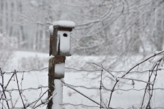 Birdhouse Winter #3039