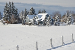 House Fence Prinzen Winter #3270
