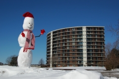 Snowman Belleville Anchorage #1676