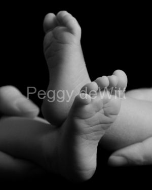 Baby Feet B%26W (v) #2601