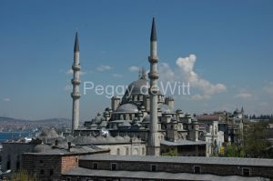 Turkey-Istanbul-New-Mosque-3-974.JPG