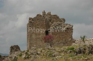Turkey Pergamum (23) #1016