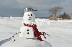 Snowman Pt Petre Pot #3501