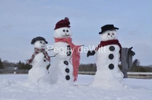 Snowmen-Nicole-3845