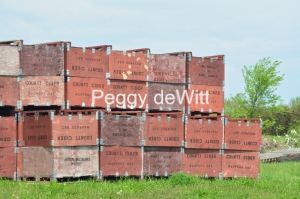 Apple Orchard Boxes #3052