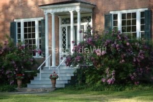 Door-Macaulay-House-Lilacs-1810.JPG