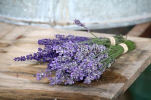Flowers Lavender Bunches #3566