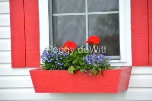 Flowers-Red-Window-Box-3236.jpg