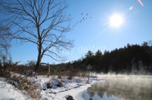 Sandbanks-Geese-Sun-Winter-3782