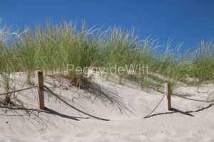 Sandbanks-Outlet-Grass-Sand-Sky-3953