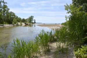 Sandbanks-Outlet-River-Grass-3791