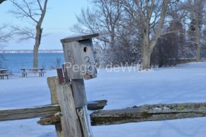 Birdhouse-Sandbanks-West-Pt-Winter-3109.jpg