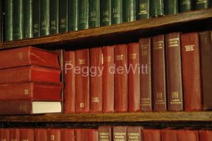 Books on Shelf #1529