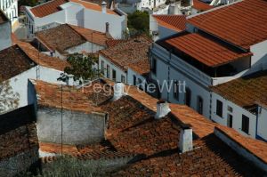 Portugal Roofs #793