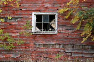 Barn-Window-Gary-3130.jpg