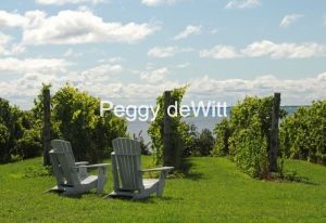 Chairs-PEC-Waupoos-1696-11x16.jpg