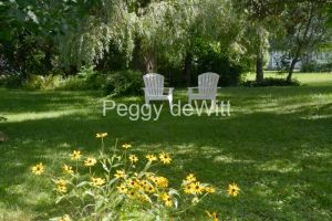 Chairs-Yellow-Flowers-3896