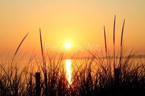 Sandbanks-Sunset-Grass-Tall-3801.JPG