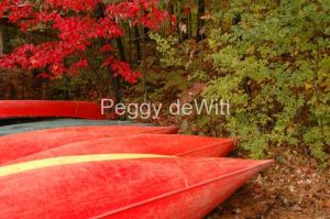 Bon-Echo-Park-Red-Canoes-1778.JPG