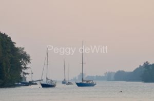 Prinyers-Cove-Boats-3599.JPG