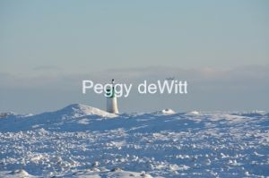 Lighthouse-Wellington-Swans-Winter-3489.JPG