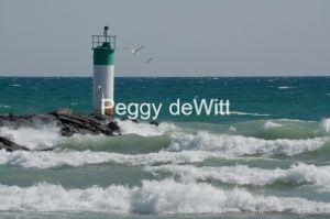Lighthouse-Wellington-Two-Birds-3285.jpg