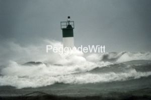 Lighthouse-Wellington-Wrapped-439.jpg