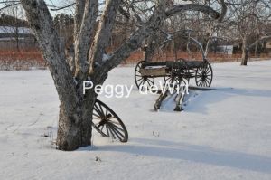 Apple-Orchard-Wagon-Wheel-Winter-2904.JPG