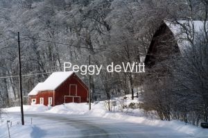 Barn-Red-Icy-Waupoos-Winter-413-8x12.jpg