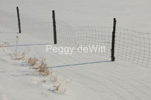 Fence-Wire-Winter-2377.JPG