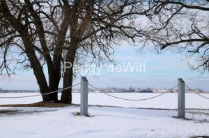 Isaiah Tubbs Rope Winter #3273
