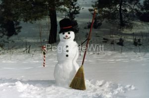 Snowman Frosty #432