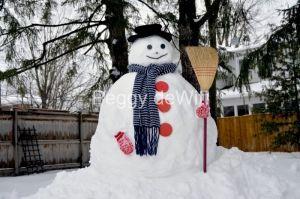 Snowman-Huge-3829