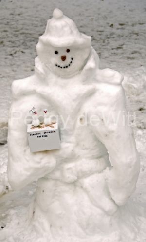 Snowman-Sherlock-v-3494.jpg