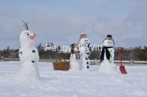 Snowmen-Olaf-3846
