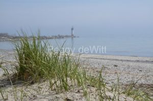 Lighthouse-Wellington-Misty-Grass-3749.jpg