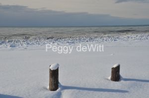 Wellington-Beach-Posts-Winter-3465.JPG