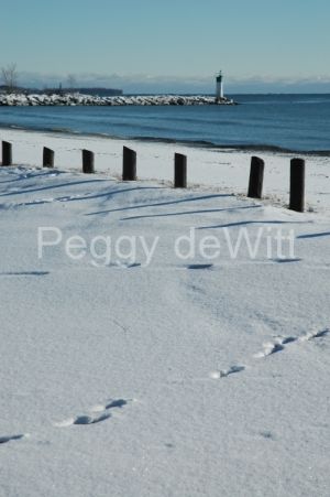 Wellington-Beach-Winter-v-695.JPG