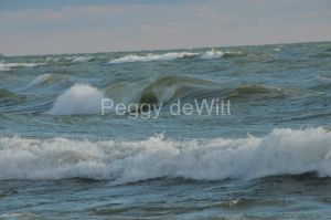 Consecon Waves #2496
