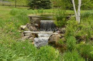 Waterfall-Grange-Summer-3994.jpg