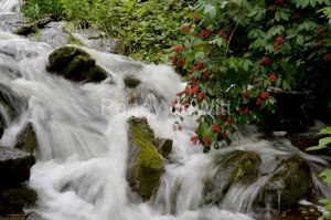 Waterfall-Rapids-Cape-Vessey-3449.JPG