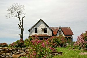 Black-River-Old-House-Lilacs-640-8x12.jpg